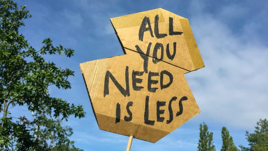 A sign at a demonstration that says: all you need is less